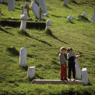 Dans le cimetière, les snipers